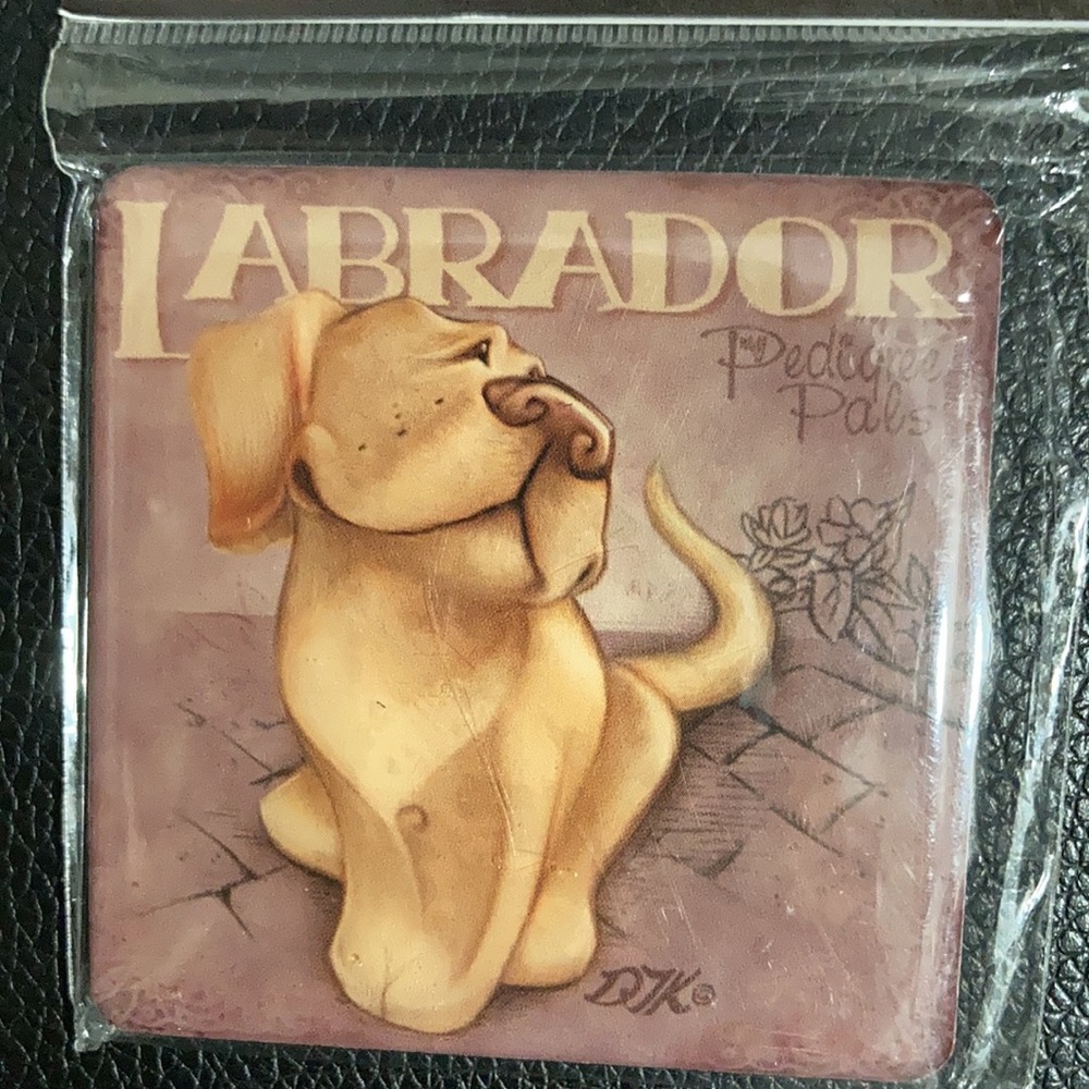 2 Labrador dog magnets 2.5” with easel back - Picture 4 of 10